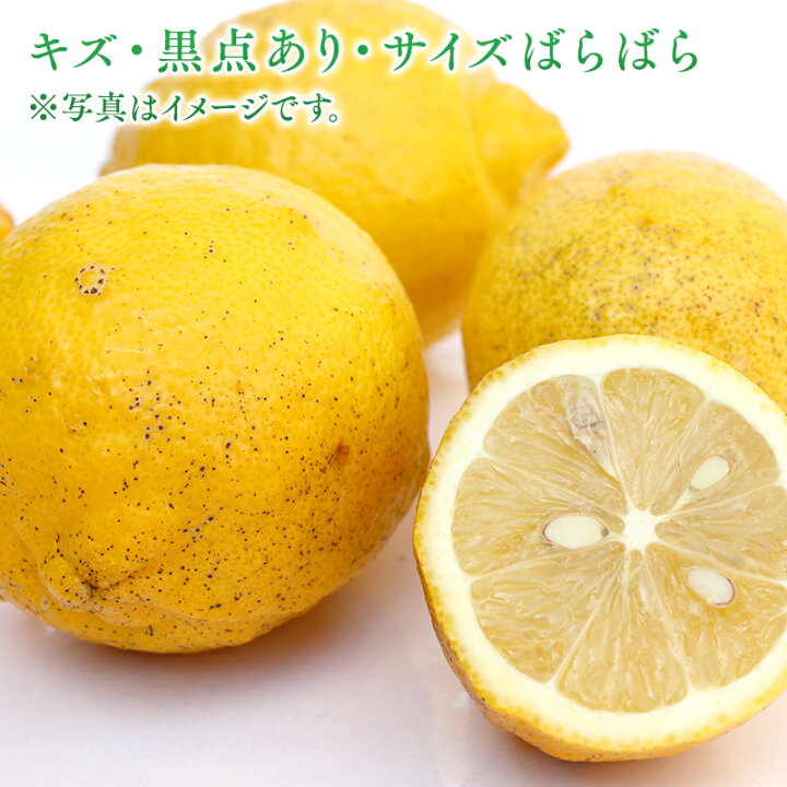 楽天市場】【冷蔵発送】送料無料 国産レモン(農薬不使用) 家族想い(家庭用) サイズばら 4kg ◇ 愛媛県 大三島 お取り寄せ 国産 みかん 蜜柑 柑橘 果物 フルーツ 訳あり わけあり 無農薬 の表示は国のガイドラインにおいて表示禁止となっています 贈り物 グルメ 母の日 父 ...