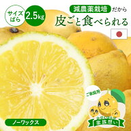 皮ごと食べられる 国産島レモン(減農薬栽培) 家族想い(家庭用) サイズばら 2.5kg ◆ ノーワックス・防腐…