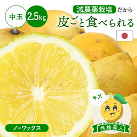 冷蔵発送 皮ごと食べられる 国産レモン(減農薬栽培) 性格美人(キズ) 中玉 2.5kg ◆ ノーワックス・防腐剤不使用 愛媛県 大三島 お取り寄せ 国産 レモン 愛媛レモン 果物 フルーツ 訳あり わけあり グルメ