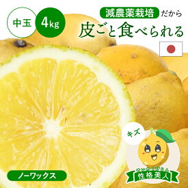 冷蔵発送 皮ごと食べられる 国産レモン(減農薬栽培) 性格美人(キズ) 中玉 4kg ◆ ノーワックス・防腐剤不使用 愛媛県 大三島 お取り寄せ 国産 レモン 愛媛レモン 果物 フルーツ 訳あり わけあり グルメ