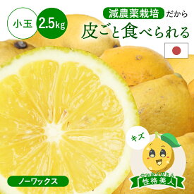 冷蔵発送 皮ごと食べられる 国産レモン(減農薬栽培) 性格美人(キズ) 小玉 2.5kg ◆ ノーワックス・防腐剤不使用 愛媛県 大三島 お取り寄せ 国産 レモン 愛媛レモン 果物 フルーツ 訳あり わけあり グルメ