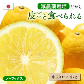 冷蔵発送 皮ごと食べられる 国産レモン(減農薬栽培) 大和撫子(きれい) 中玉 4kg ◆ ノーワックス・防腐剤不使用 愛媛県 大三島 お取り寄せ 国産 レモン 愛媛レモン 果物 フルーツ 供物 ギフト 贈答 プレゼント 贈り物