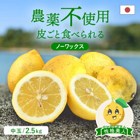 冷蔵発送 送料無料 国産レモン(農薬不使用) 性格美人(キズ) 中玉 2.5kg ◆ 愛媛県 大三島 お取り寄せ 国産 みかん 蜜柑 柑橘 愛媛みかん 果物 フルーツ 訳あり わけあり グルメ