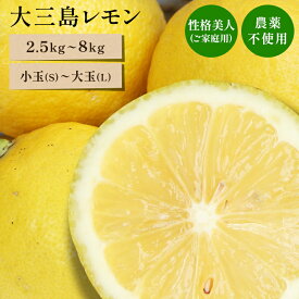 送料無料 国産レモン(農薬不使用) 性格美人(キズ) 小玉～大玉 2.5kg～8kg ◆ 愛媛県 大三島 お取り寄せ 国産 みかん 蜜柑 柑橘 愛媛みかん 果物 フルーツ 訳あり わけあり グルメ