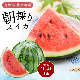 楽天市場 産地直送 フルーツ 果物 食品 の通販