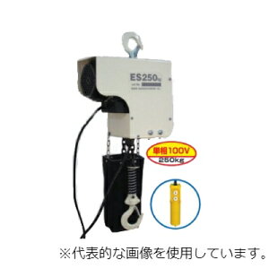 dC`F[ubN חg ݏグ 250Kg 100V d g6m  H  [N ES250KgX3m X[Gb`
