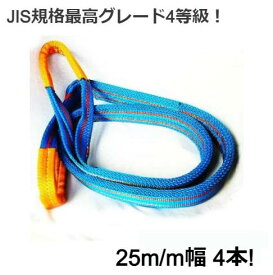 ベルトスリング 4E 幅25mm 1t 2m 25mm幅 ナイロンスリング 4本 玉賭け 金属製品 建築 コンクリート製品 ブルースリング 青 木製品 家具 ピアノ 吊る プラスチック製品 ボート 浴槽 土木 造園 引越し 自動車 原動機　吊上げる テザック