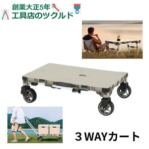  AEghA  e[u  100Kg R Lv C l K p\g TREC100 ACR