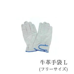 v 10o XL[ Y-PN L n  M nڎ nڗp v Ɨp 5{w  Lv   V_