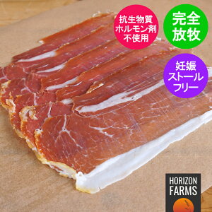 sgp q Ⓚ vV[g XCX I[XgAY 100g t[W |[N [X i q Rsgp zܕsgp ۑsgp VLg V