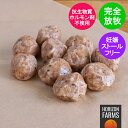無添加 放牧豚 ミートボール 200g 冷凍 肉団子 国産 北海道産 豚肉 簡単 子供 放牧 フリーレンジ ポーク 抗生物質不使…