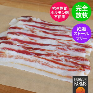 �����s�g�p �ۑ����s�g�p ���q�� �Ⓚ �p���`�F�b�^ �X���C�X �I�[�X�g�����A�Y 100g �t���[�����W �|�[�N ���i�� ���q �R�������s�g�p �����z�������ܕs�g�p �p���`�F�b�^ �V�����L���g�� 