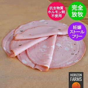 sgp q Ⓚ ^fb XCX I[XgAY 100g t[W |[N XpCX h i q Rsgp zܕsgp ۑsgp VLg