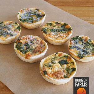 Y  ~j LbV ق `[Y Ⓚ I[XgAY (6) R yH ԐH ȒP v Z g[X^[ p[eB[ tBK[t[h