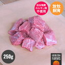 ブラックアンガス牛 ビーフ 牛肉 ヒレ 角切り サイコロ ステーキ 柔らかい 250g 冷凍 熟成 霜降り フィレ 牛ヒレ肉 グラスフェッド グレインフィニッシュ ホルモンフリー 抗生物質不使用 高級 ステーキ ギフト アンガス牛 モーガン牧場 アメリカンビーフ USビーフ