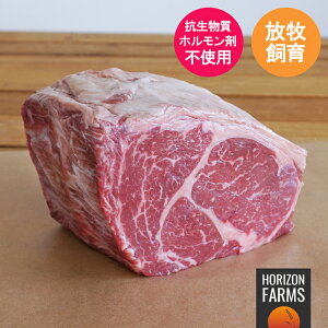 (ʌ) [Kqr[t vCu [Xg u[X ubN  1kg Xe[L ōi AJr[t n OXtFbh OCtBjbV zܕsgp R