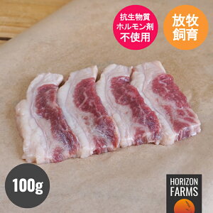 ���[�K���q��r�[�t ���o�� �ē��p �Ⓚ �X���C�X 100g �o�� �΂�� �� ���� �A�����J���r�[�t �o�[�x�[�L���[ ���q�� �z�������ܕs�g�p �R�������s�g�p �z�������t���[ �ō��O���[�h �A��