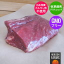 グラスフェッドビーフ 牛肉 ランプ ブロック ローストビーフ用 300g 牧草牛 ホルモン剤不使用 抗生物質不使用 遺伝子組換え飼料不使用 放牧牛 フリーレンジ 無添加 もも肉 牛ブロック ロースト