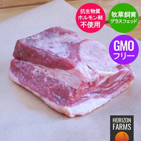 グラスフェッドビーフ 牛肉 肩バラ ブロック 煮込み用 300g 赤身 赤身肉 抗生物質不使用 ホルモン剤不使用 放牧牛 焼肉 カルビ 前バラ ブリスケ 肩肉 バラ肉 塊 BBQ パーティー ロースト ブリスケット