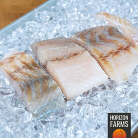 塩水養殖 白身魚 バラマンディ ミナミアカメ 切身 皮無し オーストラリア産 450g 冷凍 オーストラリア産 白身 魚 高級 切り身 ホルモン剤不使用 抗生物質不使用 着色料不使用 サステナブル シーフード