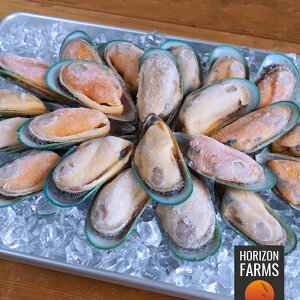 I[KjbN Ⓚ [L j[W[hY 1kg kt p[iL O[VF }bX pGA L TLKC Mp Ɩp TCY wsgp 嗱