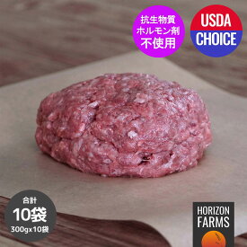 USDA チョイス 牛肉 100% ひき肉 300g 冷凍 最高品質 アメリカンビーフ 熟成 グラスフェッド グレインフィニッシュ ホルモン剤不使用 抗生物質不使用 ホルモンフリー 砂糖不使用 アメリカ産