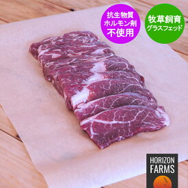 グラスフェッドビーフ サガリ スライス オーストラリア産 牧草牛 300g 焼肉用 冷凍 ハンギングテンダー 厚切り焼肉 赤身 スライス ホルモン剤不使用 牧草牛 パスチャーフェッド