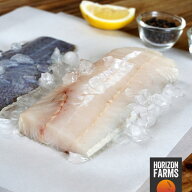 ニュージーランド産 冷凍 天然 白身魚 ホキ 皮付き 切り身 450g 白身 フィレ フィーレ