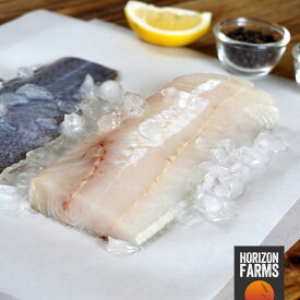 ニュージーランド産 冷凍 天然 白身魚 ホキ 皮付き 切り身 450g 白身 フィレ フィーレ