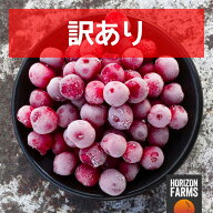 30％OFFセール 2980→2086円 有機 JAS オーガニック 冷凍 サワーチェリー トルコ産 化学物質不使用 1kg …