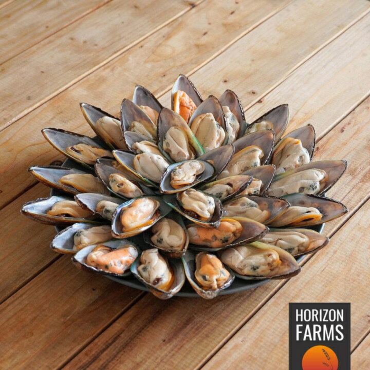 楽天市場 冷凍 ムール貝 ニュージーランド産 1kg 殻付き パーナ貝 グリーンシェル マッスル パエリア 貝 ムラサキガイ 加熱用 業務用 サイズ 化学物質不使用 Horizon Farms