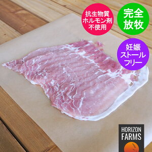 q Ԃԗp XCX ؂ i 300g t[W |[N Y i ؓ q