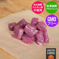 グラスフェッドビーフ 牛肉 ヒレ 角切り サイコロ ステーキ 柔らかい 牧草牛 250g 牧草牛 赤身 無農薬 ホ…