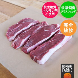 ニュージーランド産 ラム肉 高品質 ランプ ステーキ 500g グラスフェッドラム 冷凍 羊肉 放牧 抗生物質不使用 ホルモン剤不使用 遺伝子組み換え飼料不使用