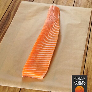 最高級 魚の人気商品 通販 価格比較 価格 Com