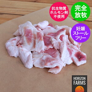 ���q�� �Ⓚ �؎� 250g ���i�� �؂̎� �R�������s�g�p �z�������ܕs�g�p