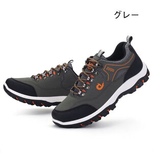 yH~10OFFN[|z24~30cm Xj[J[ Y fB[X ^C jOV[Y  h ʋ ʊw y L ʋC EH[LOV[Y oRC gbLOV[Y JW