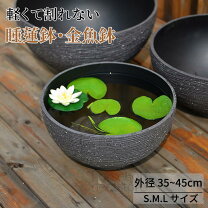 楽天市場】金魚 睡蓮鉢 室内の通販