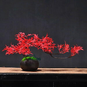 lH ~  lH ̖ 㕗 t[|bg lHϗtA tFCN O[  tFCNO[ 픫  v[gɂ fUC  z[  ͂Ȃ sv 