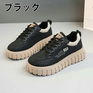 yԌ 10% OFF N[|zV[Nbgu[c EH[LOV[Y Xj[J[ fB[X Ȃ JWA   ʊw jOV[Y WjA jO AEgh