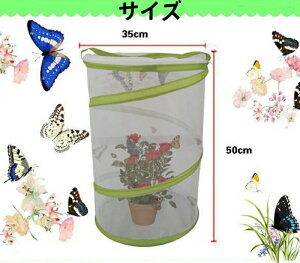 甠 AP[W W{ ܂ݒ P[W |bvAbvnEWO ʋC lbg ɐB P[X ώ@ W{ ̂ ߊl  y nEX O q av