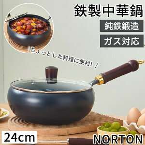 NORTON S ؓ Sؓ StCp SS łtȂ Wt KXWt `S 24cm S KX/IHΉ łth~ [R[eBO wV[|bg  