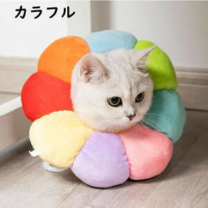 GUxXJ[ L  \tg p㕞 Jt pJ[ ybgp\tgGUxXJ[  