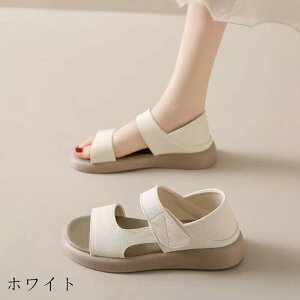 yԌ 10% OFF N[|zyԌ 10% OFF N[|ztbg T_ fB[XT_ T_ fB[X SXgbv ₷ r O  y JW