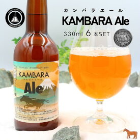 蒲原エール6本セット 迷ったらコレ！圧倒的アロマ クラフトビール 330ml 地ビール 誕生日 プレゼント ギフト 内祝い 出産祝い 結婚祝い 還暦祝い