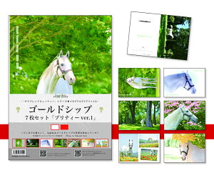 �S�[���h�V�b�v���N���A�t�@�C��7���Z�b�g���v���e�B�[ver.1�����n�S�[���h�V�b�v�̖��͂����Ղ�ȃN���A�t�@�C��7���Z�b�gstudio leavs