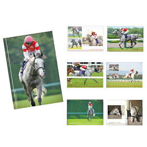 S[hVbv|XgJ[h7gy[Xz2012H܁Aeԏ܁ALnLOA2013A2014ˋLO2015Vc(t)A2013A2015_ܓT̃[Xʐ^2014tXVeBCŉ߂p S7g 