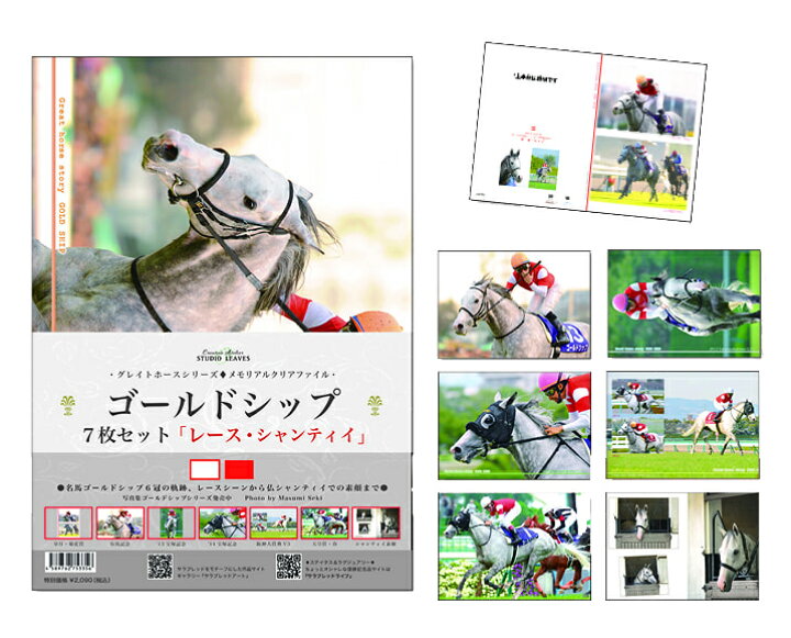 楽天市場】ゴールドシップ号クリアファイル7枚セット○レース○名馬 