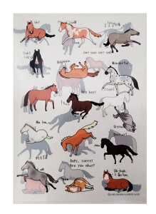 NAt@CA4yFUN FUN HORSEzyȔñNAt@C@1肨킶CXg