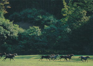 qEn|XgJ[hy Ή̗FB@No.33 z